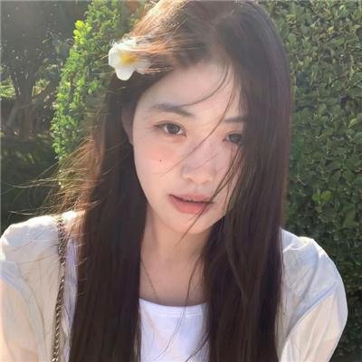 完美的独裁国家